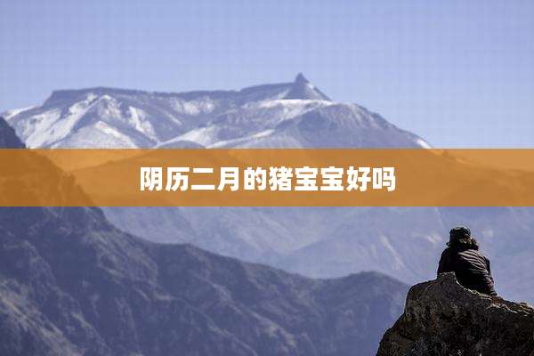 阴历二月的猪宝宝好吗