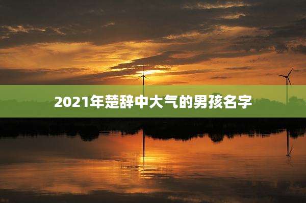 2021年楚辞中大气的男孩名字