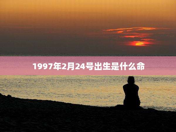 1997年2月24号出生是什么命
