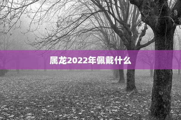属龙2022年佩戴什么