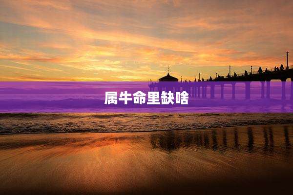 属牛命里缺啥