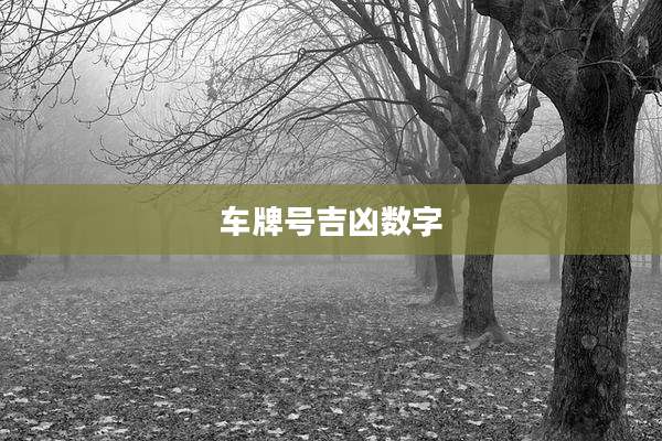 车牌号吉凶数字