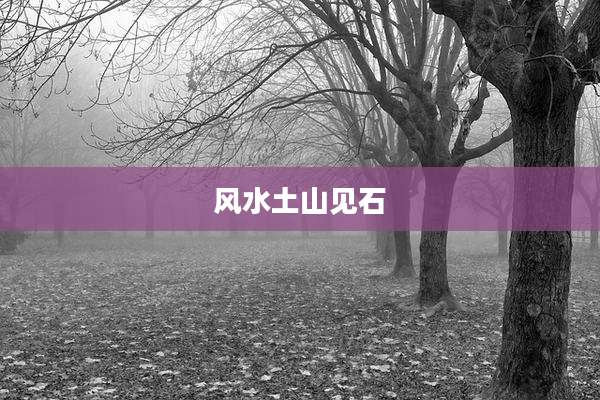 风水土山见石