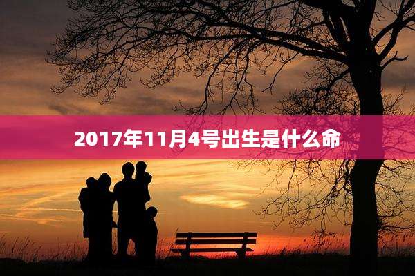 2017年11月4号出生是什么命