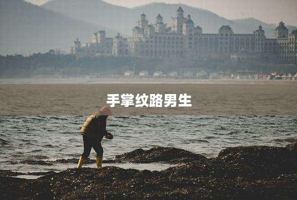 手掌纹路男生