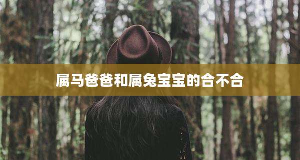 属马爸爸和属兔宝宝的合不合