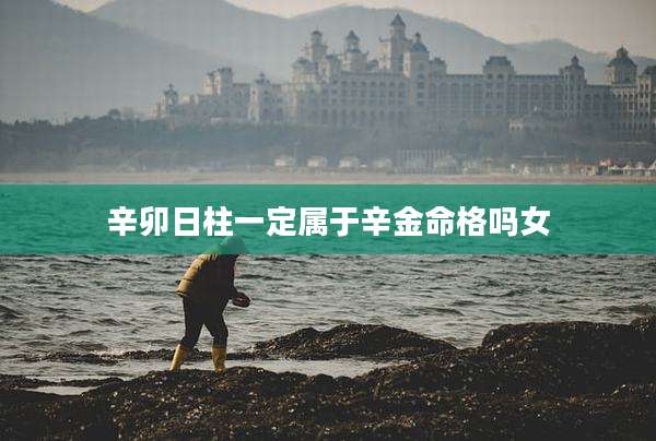 辛卯日柱一定属于辛金命格吗女