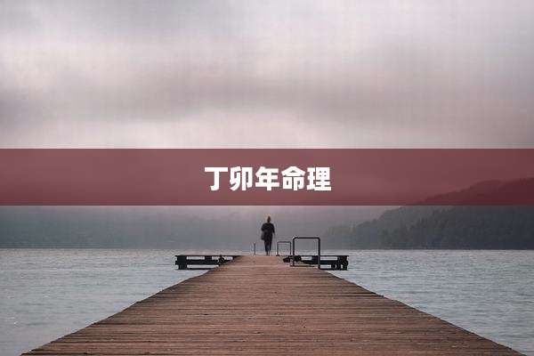 丁卯年命理