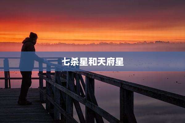 七杀星和天府星