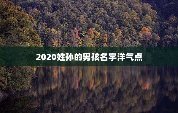 2020姓孙的男孩名字洋气点