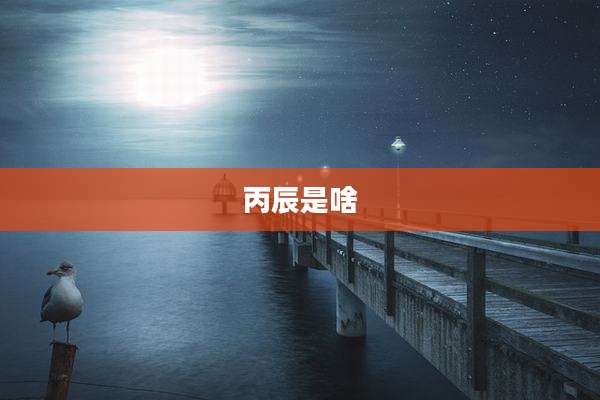 丙辰是啥
