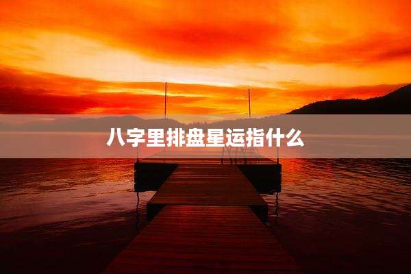 八字里排盘星运指什么