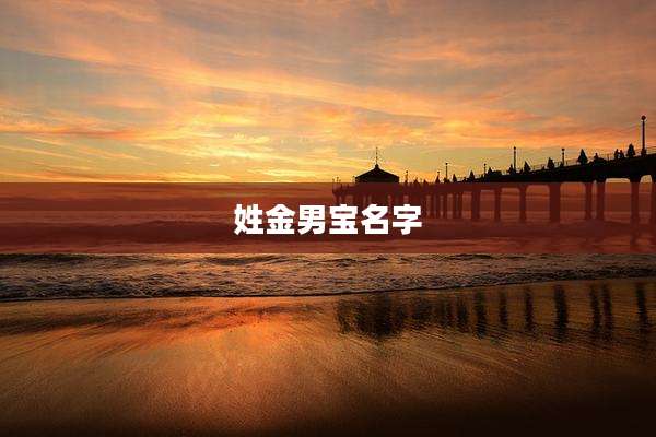 姓金男宝名字