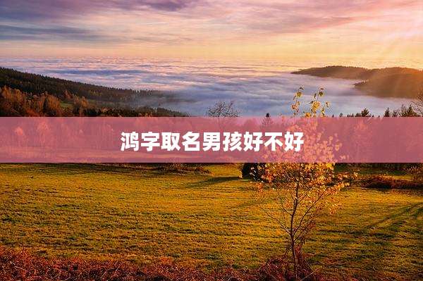 鸿字取名男孩好不好