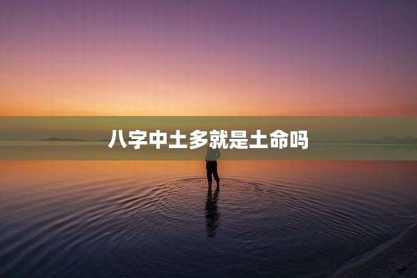 八字中土多就是土命吗