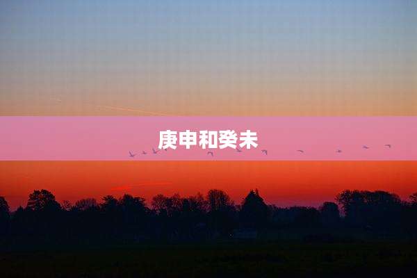 庚申和癸未