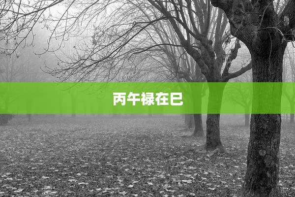丙午禄在巳