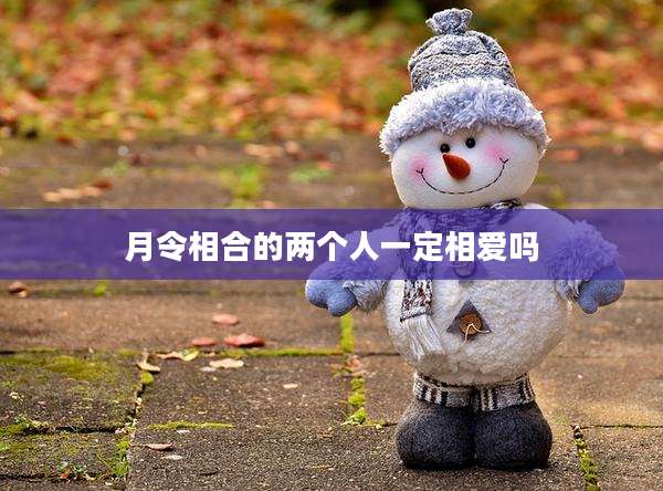 月令相合的两个人一定相爱吗