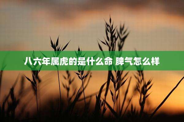 八六年属虎的是什么命 脾气怎么样