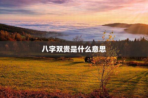 八字双贵是什么意思