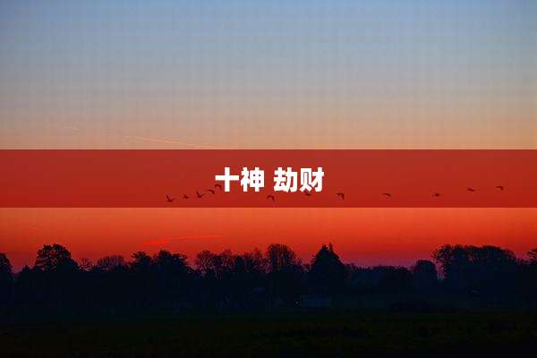 十神 劫财
