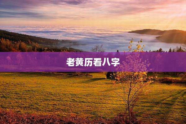 老黄历看八字