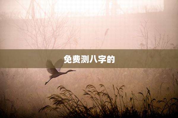 免费测八字的