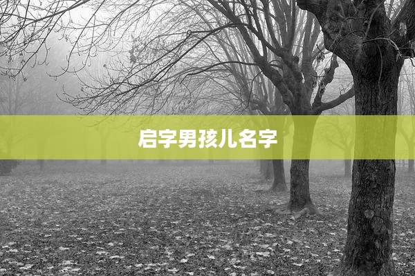 启字男孩儿名字