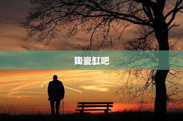 陶瓷缸吧