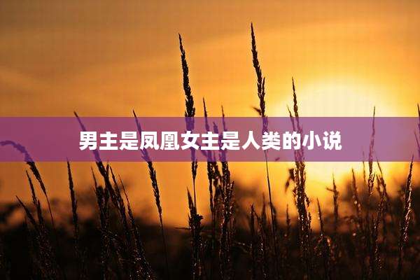 男主是凤凰女主是人类的小说