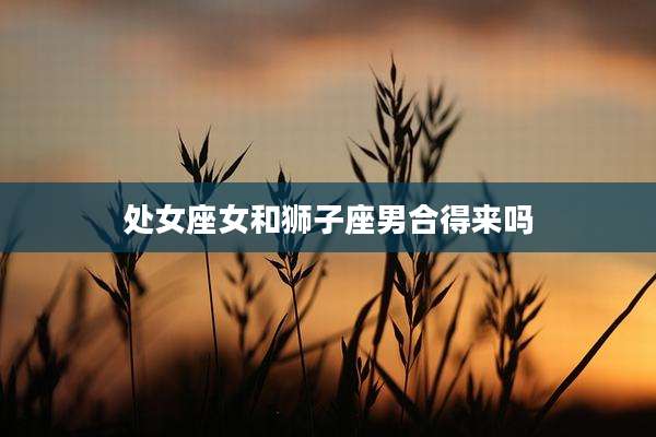 处女座女和狮子座男合得来吗