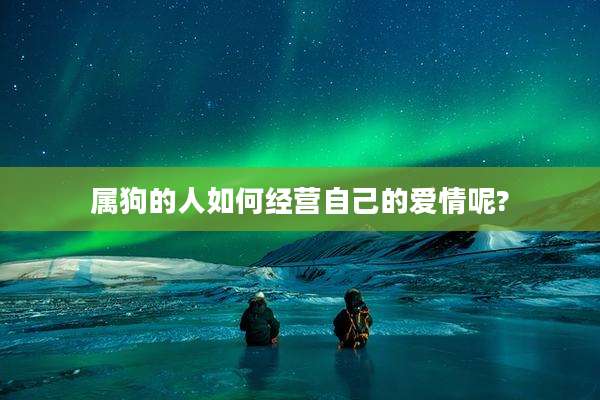 属狗的人如何经营自己的爱情呢?