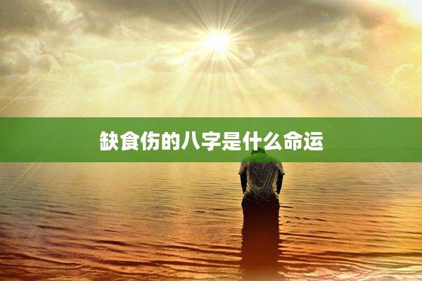缺食伤的八字是什么命运