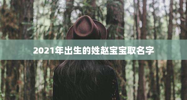2021年出生的姓赵宝宝取名字