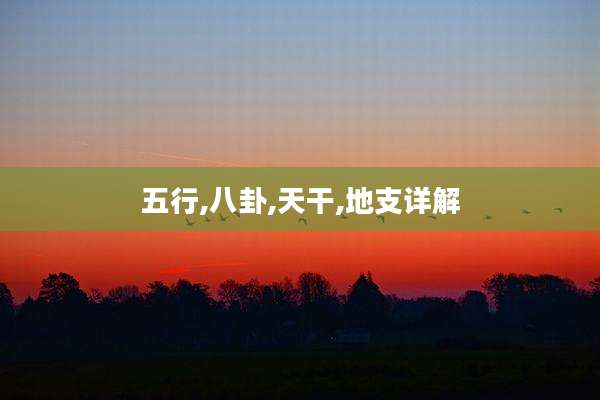 五行,八卦,天干,地支详解