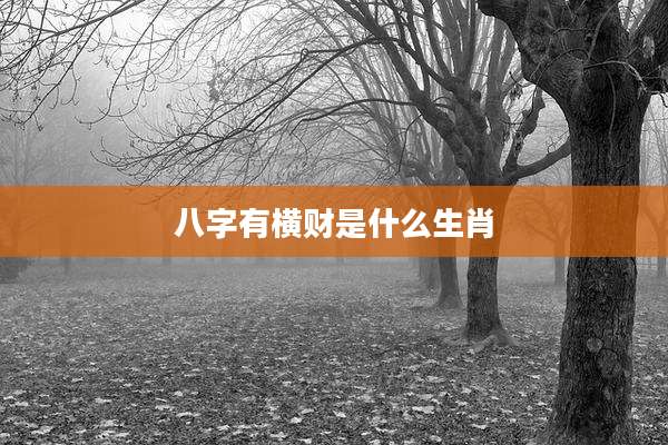 八字有横财是什么生肖