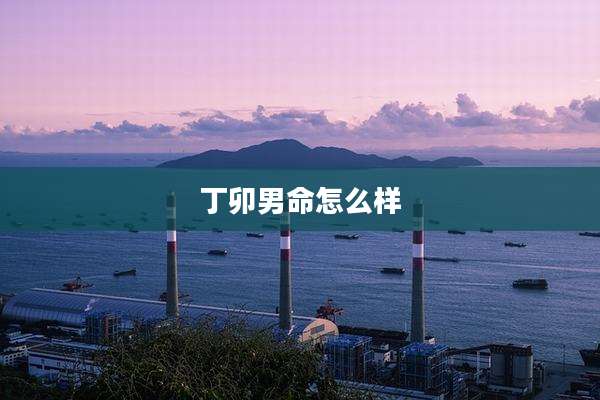丁卯男命怎么样