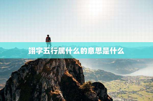 翊字五行属什么的意思是什么