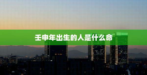 壬申年出生的人是什么命