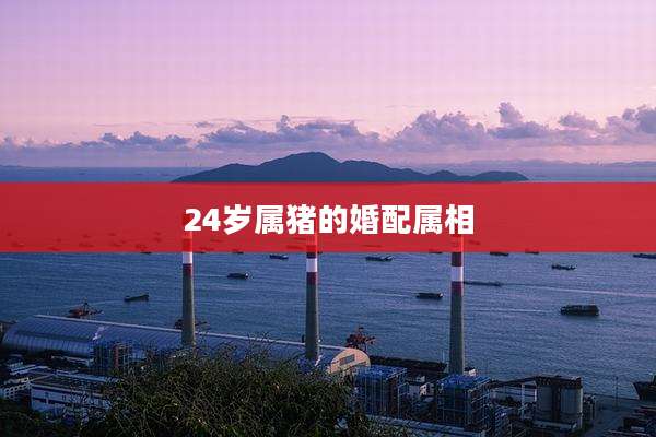 24岁属猪的婚配属相