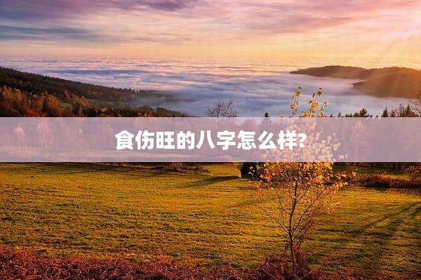食伤旺的八字怎么样?