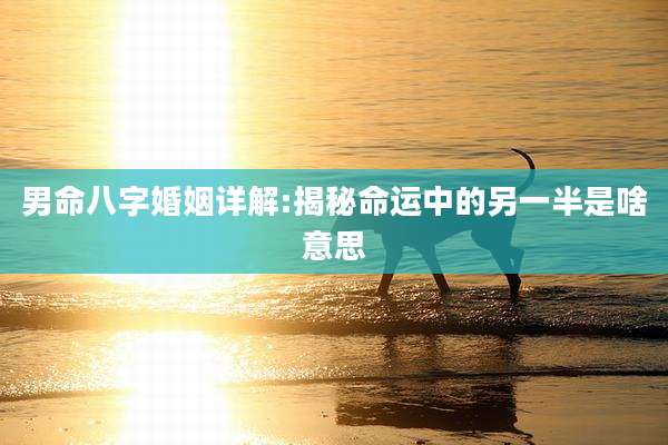 男命八字婚姻详解:揭秘命运中的另一半是啥意思