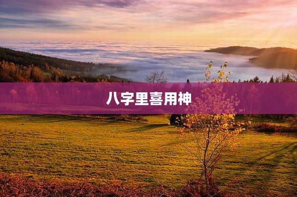 八字里喜用神
