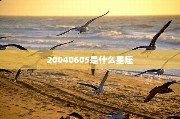 20040605是什么星座