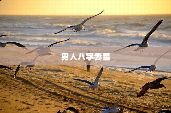 男人八字妻星