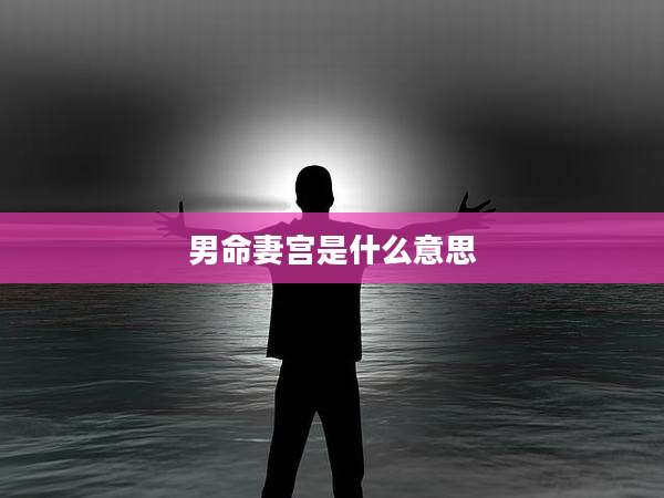 男命妻宫是什么意思