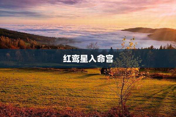 红鸾星入命宫