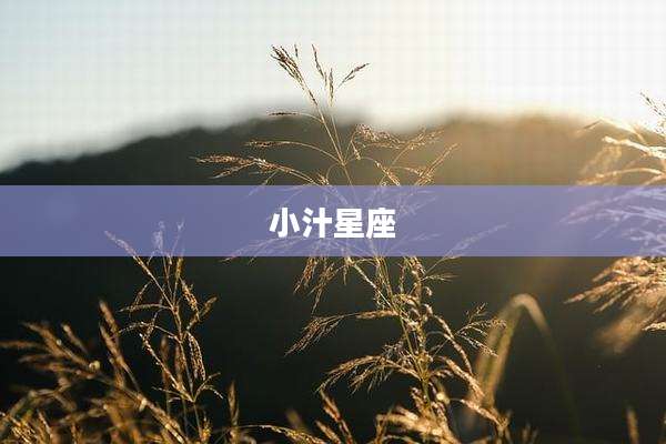 小汁星座