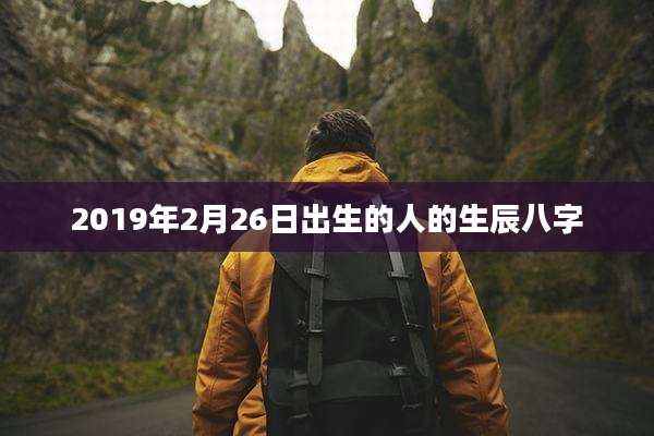 2019年2月26日出生的人的生辰八字