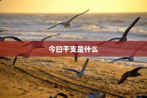 今曰干支是什么